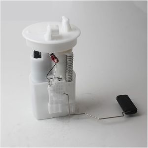 Fuel Pump Assembly